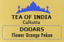 DOOARS FLOWERY ORANGE PEKOE